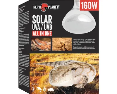 Zdjęcie produktu dla Repti Planet 007-41506, 160 W, 1 szt., Pudełko