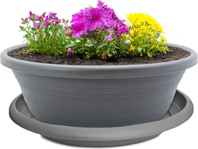 Produktbild von Pflanzkübel mit Untersetzer 45 cm Pflanzschale für aussen grau