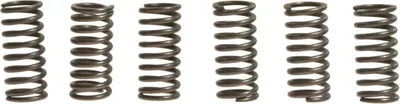 Immagine prodotto di Kit 6 molle frizione EBC CSK024