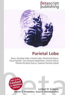 Produktbild von Parietal Lobe