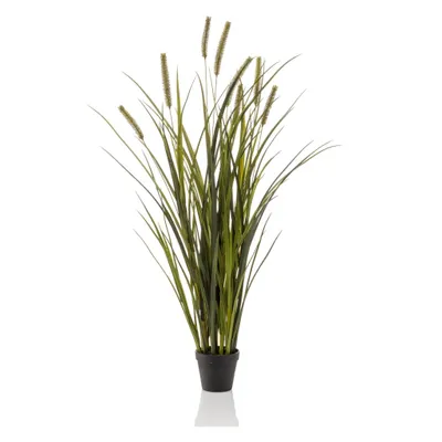 Produktbild von Emerald Künstliches Cattailsgras 100 cm Topf