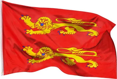 Produktbild von PHENO FLAGS Basse Normandie Flagge 90 x 150 cm Fahne Frankreich Normandiefahne