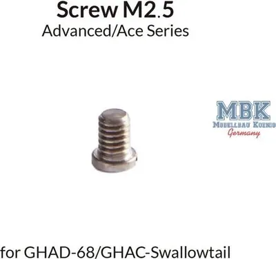 Image de GAAHLERI GAA-41291 Vis M2,5 pour GHAD-68/Swallowtail