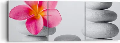 Produktbild von Bild auf Leinwand - Leinwandbild - Spa buddhismus ruhig blume - 90x30cm - Wand Bild - Wanddeko - Leinwanddruck - Bilder - Kunstdruck - Wanddekoration - Leinwand bilder - Wandkunst - CA90x30-2304