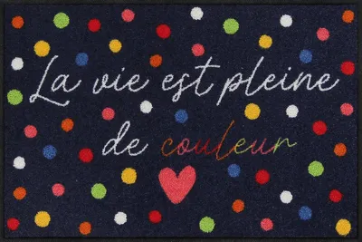 Produktbild von Salonloewe VIE COLORÈE Fußmatte Wohnmatte 50 x 75 cm