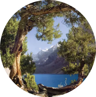 Produktbild von Sanders & Sanders selbstklebende runde Tapete Berglandschaft mit Bäumen Grün und Blau Ø 70 cm