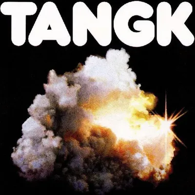 Zdjęcie produktu dla Idles - Tangk (LP)
