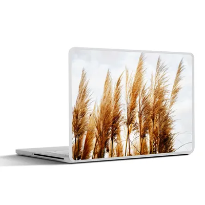 Produktbild von MuchoWow® Laptop Aufkleber Sticker Cover Pampasgras - Sonne - Gras 40x30 cm - Laptop Dekoration - Selbstklebend
