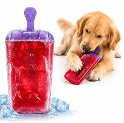 Image de Jouet pour chien Flamingo Glace sur bâtonnet TPR