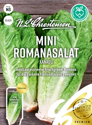 Produktbild von Mini Romanasalat Xanadu | Romanasalatsamen von N.L. Chrestensen
