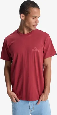 Produktbild von Quiksilver EV Mini Logo SS Burnt Russet XL