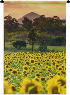 Produktbild von MuchoWow® Wandteppich Wandbehang Sonnenblume - Natur - Berg 120x180 cm Tapisserie Dekoration Wandtuch - Schlafzimmer - Dekorationen für das Haus