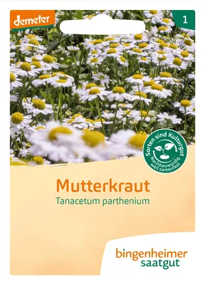 Artikelbild 2 von 'BIO Mutterkraut' aus der Kategorie Kräutersamen