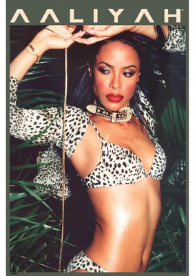 Produktbild von Aaliyah - Poster 61x91,5 cm