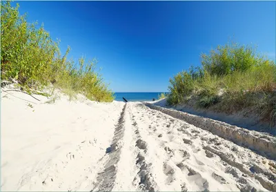 Produktbild von Wallario Fototapete Vliestapete, seidenmatte Oberfläche, einfache Verarbeitung, Größe 300 x 210 cm, Motiv Auf dem Sandweg zum Strand - Blauer Himmel über dem Meer