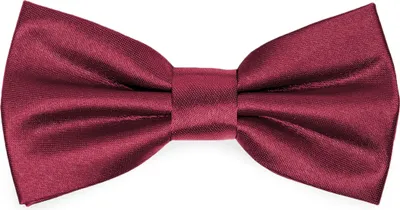 Produktbild von Ladeheid Kinder Jungen Fliege - Vorgebunden Glänzende BKS (10cm x 5cm)