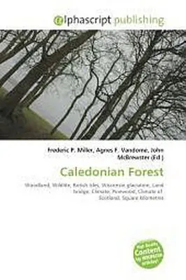 Produktbild von Caledonian Forest