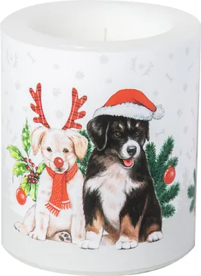 Obrázok produktu pre IHR DOG - MAS Svíčka