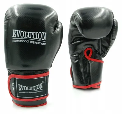 Produktbild von Evolution Carbon Pro++ Boxhandschuhe Sparring 12 oz