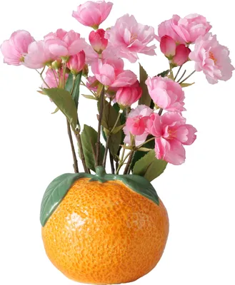 Immagine prodotto di BOLTZE vaso vaso da fiori in Vetroceramica arancione