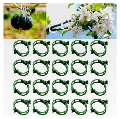 Produktbild von Pflanzenclips für Tomaten, 100 Stück
