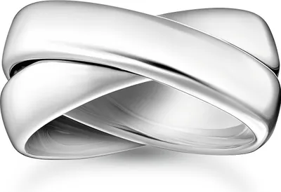 Produktbild von Thomas Sabo Rebel Basics TR2491-001-21 Herrenring, Ringgröße:62