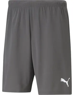 Produktbild von Puma - "TeamRISE" Sweat-Shorts für Herren MR1922 (S) (Grau)