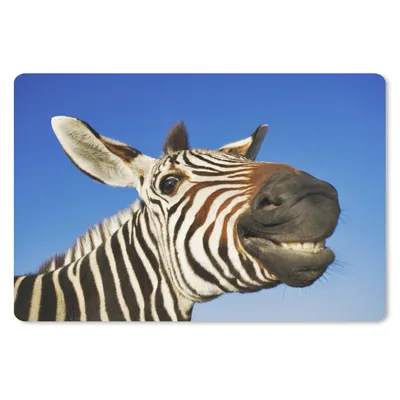Produktbild von MuchoWow® Mauspad Mousepad Zebra - Lustig - Kinder - Jungen - Mädchen 27x18 cm - Mousepads - Maus Mat - Pad - Mausunterlage - Büroartikel - Desk Matten