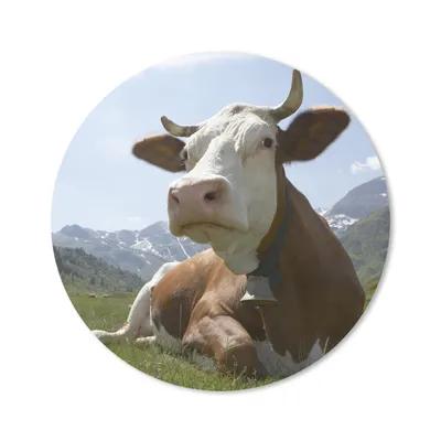 Produktbild von MuchoWow® Mauspad Mousepad Kuh - Berg - Gras 20x20 cm - Mousepads - Maus Mat - Pad - Mausunterlage - Schreibtischmatte