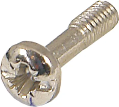 Zdjęcie produktu dla Schroff Pentair Techn. Halsschraube 21100-748 VE100 (21100748)
