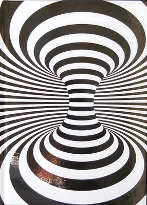 Produktbild von ADINA Notizbuch A4 fester Deckel Lineatur gepunktet (dotted) Illusion