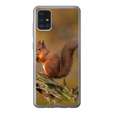 Produktbild von MuchoWow® Handyhülle Schutzhülle Hülle für Samsung Galaxy A52 5G Eichhörnchen - Baumstamm - Wald Silikon Softcase Handy Hülle - Umschlag