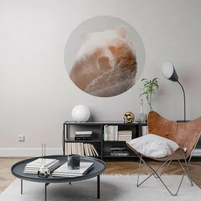 Produktbild von Komar Vlies Fototapete rund und selbstklebend "Bearava" - Größe: 125 x 125 cm (Breite x Höhe) - 1 Stück