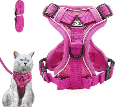 Image de Harnais réglable anti-fugue pour chat, harnais souple avec laisse pour chats, chatons, chiens et chiots, rose, taille S