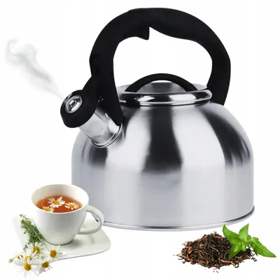 Produktbild von Topfann Traditioneller Wasserkocher 2,5L Induktion Edelstahl silber
