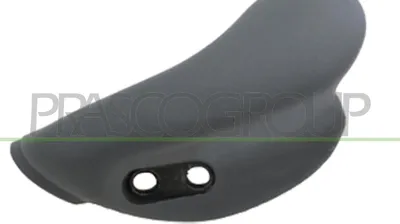 Produktbild von PRASCO FT9208408 Türgriff Innen Vorne Links für FIAT DUCATO Kasten (244) Grau
