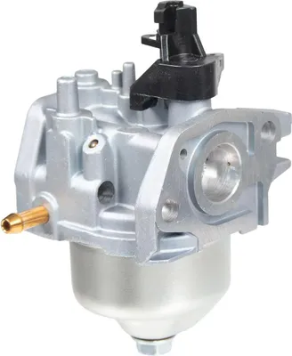 Obrázek produktu pro Karburátorový motor Cedrus Y145V 485057
