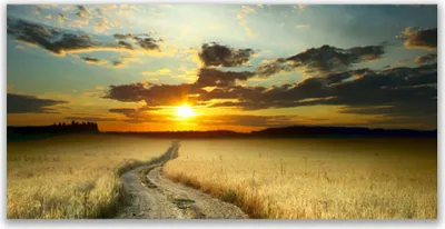 Produktbild von Tulup Leinwand-Bilder 140x70 Wandbild Canvas Kunstdruck Weg Wiese Landschaft