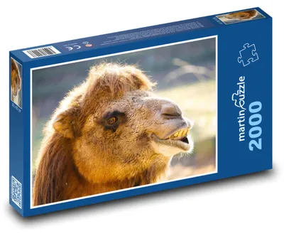 Obrázok produktu pre martinpuzzle - Puzzle 2000 - Lantuch