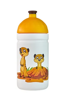 Produktbild von Flasche R&B Surikaty 500ml