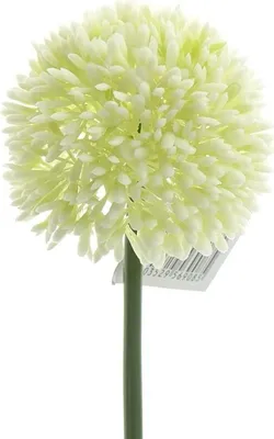 Produktbild von GASPER Zierlauch - Allium Cremeweiß Ø  7 cm - Kunstblumen