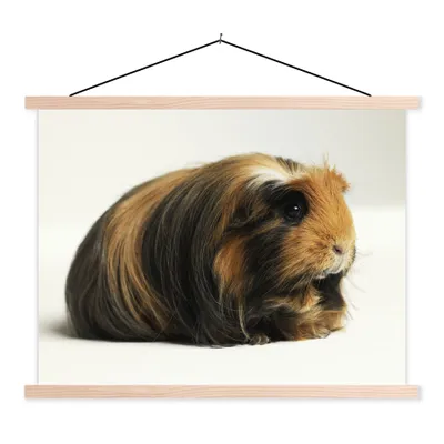 Produktbild von MuchoWow® Textilposter Schwarz-weißes Meerschweinchen 150x113 cm mit holzfarbenen Rahmen - Poster
