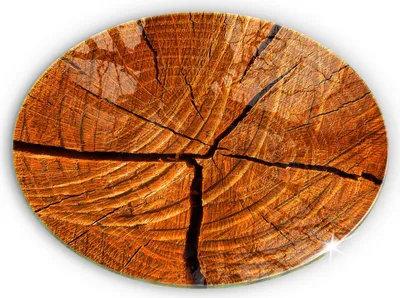 Produktbild von Grabkerze Untersetzer Glastafel Gummifüße Motiv - 40 cm - Holzstammstruktur