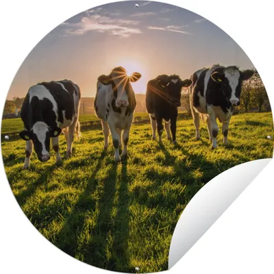 Produktbild von MuchoWow® Gartenposter Outdoor-Poster Rund Kühe - Sonne - Gras - Tiere - Bauernhof Ø 90 cm Gartendeko Rundes Poster draußen