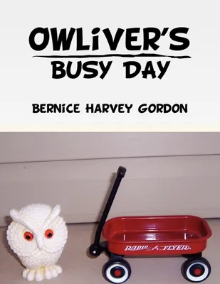 Produktbild von Owliver's Busy Day
