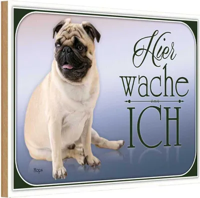 Produktbild von vianmo Holzschild 20x30 cm Hund Mops hier wache ich Tier Haustier