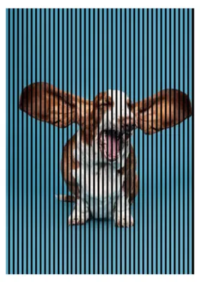 Produktbild von Akustikpaneele mit Digitaldruck Dog01 19 x 1693 x 2400 mm Hund MDF PET-Fasern Wandpaneele Blau Braun 3 Einzelplatten