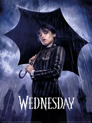 Produktbild von Wednesday - Poster "Downpour" PM5902 (40 cm x 30 cm) (Schwarz/Blau/Weiß)