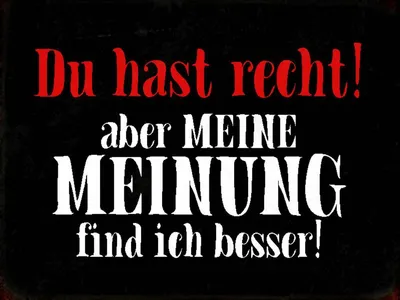 Produktbild von vianmo Holzschild 30x40 cm du hast recht aber meine Meinung