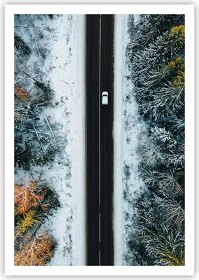 Produktbild von Poster - Poster ohne Rahmen - Wald Weg Schnee - 70x100 cm - Wand Bild - Wanddeko - Wandbilder - Kunstposter - Wandposter - Bilder - Kunstdruck - Wanddekoration - Wandbild - P2XPA70x100-4654